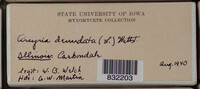 Image Associated With the Occurence
